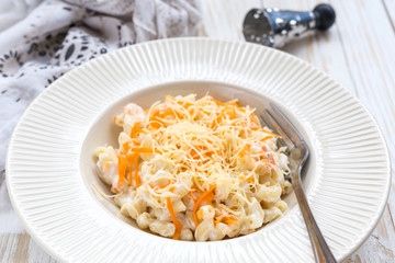 Stortini Vegetarian Vegetable pasta with carrot, cheese and ricotta