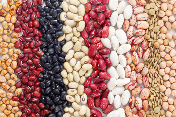 Multicolored mixed dried beans in rows background