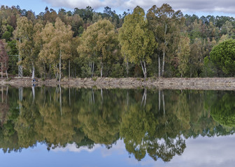 Fototapeta premium Landscape with reflection