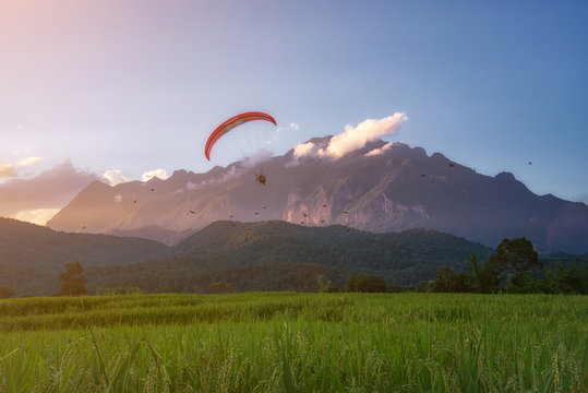 flying with paramotor over rice fields in sunset with a mountain background.