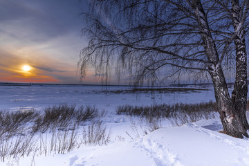 Fototapeta na wymiar Trees and setting sun on the edge of a winter forest