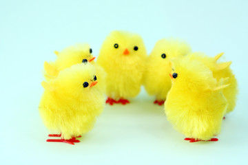 group of easter chicken on green background
