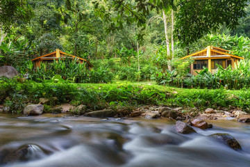 Naklejka premium Deep forest waterfall at Maekampong Waterfall, Maekampong, Chiangmai, Thailand.