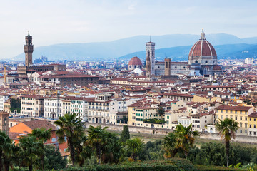 Fototapeta na wymiar above cityscape of Florence town