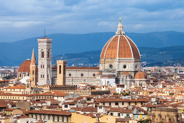 above view of Florence town with Cathedral