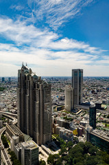 Fototapeta premium Skyline of Tokyo