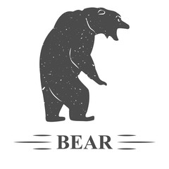 Obraz premium нападение медведя Винтаж