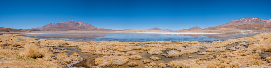 Swamp with dry grass.  Mountains of Altiplano, Bolivia, South America