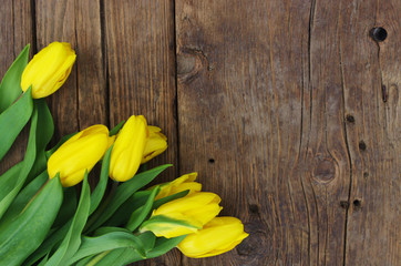 yellow fresh tulips on vintage wooden background texture