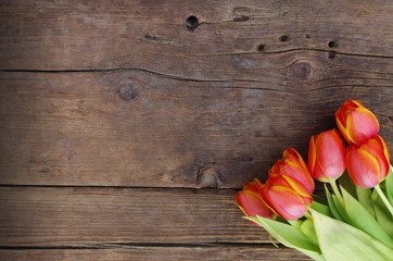 orange fresh tulips on vintage wooden background texture