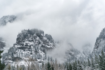 Peak of rock with forest in winter