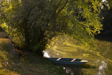 La barque au pied de son arbre à Damvix (85420), département de la Vendée en région Pays-de-la-Loire, France