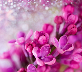 Obraz premium lilac flowers on blurred glittering background, shallow depth of field