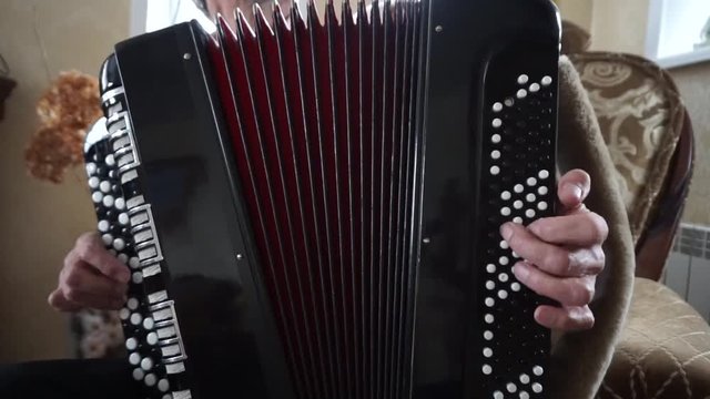 musician plays a musical instrument Bayan