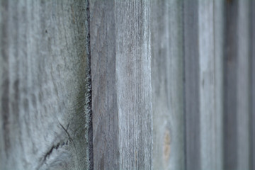 Wood texture. Old barn background panels.