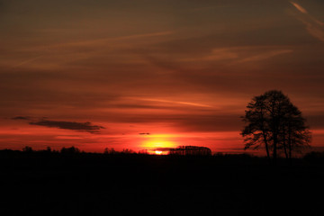 Zachód słońca nad polami, pomarańczowe niebo.