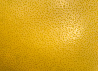 Citrus skin background