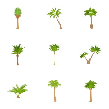 Different palm icons set, cartoon style