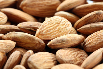 dried almond seed background, pattern, texture
