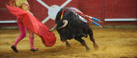 Foto op Aluminium El Toro - Bullfigth corrida © FreeProd