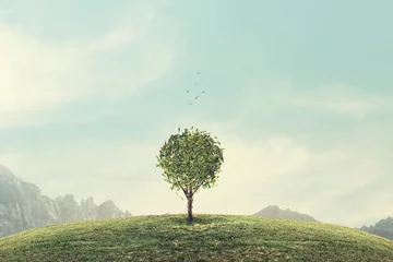 Selbstklebende Fototapete Sommer minimal surreal green tree