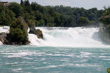 Fototapeta premium Der Rheinfall in Schaffhausen