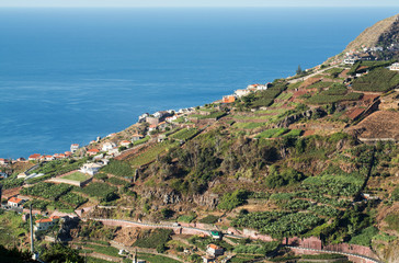 Fototapeta premium View over the vineyards of the Madeira Wine Company, Estreito de Camara de Lobos, Madeira, Portugal