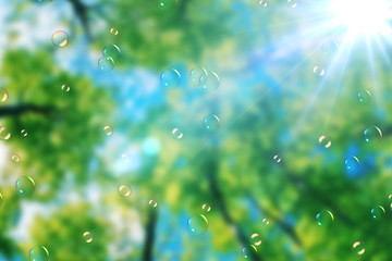 soap bubbles floating on green nature background under blue sky with sun rays light
