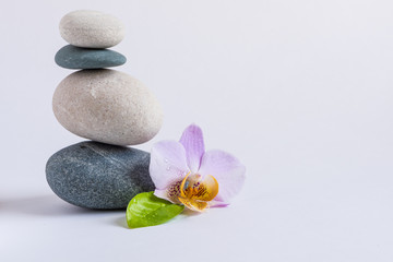 Fototapeta na wymiar Zen SPA stones with flower