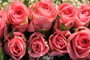 Pink roses and baby breath bouquet