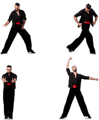 Spanish dancer in various poses on white