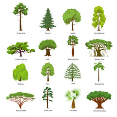 Flat green garden forest icons trees vector. Nature concept.