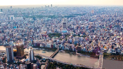 Fototapeta na wymiar Aerial view of Tokyo