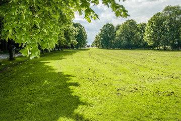 Park