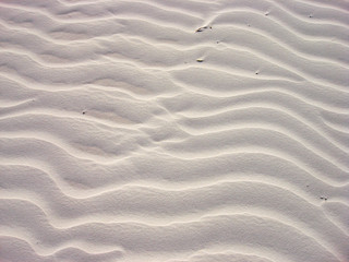 Abaco Island Tropical Patterns