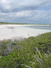 Fototapeta na wymiar Abaco Island, Bahamas 