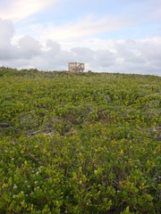 Fototapeta na wymiar Abaco Island, Bahamas 