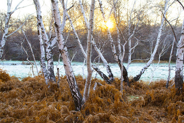 caldara di manziana, acque sulfuree