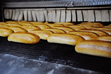 Fresh bread just baked in the bakery