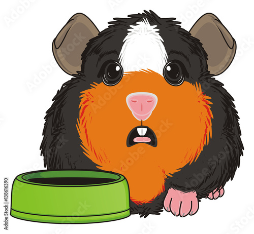 Images Of Cartoon Cute Guinea Pig Pictures