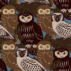 Hand drawn seamless pattern with owls.