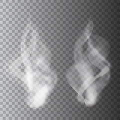 smoke on a transparent background. vector illustration