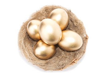 Nest with golden eggs on a white background