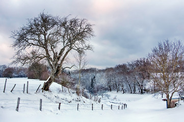 Paysage de campagne dans le Doubs, France.