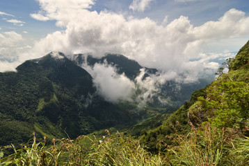 View from World's End in Horton plains national park