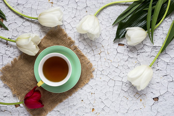 Cup of tea with Floral background with red and white tulips and daisies