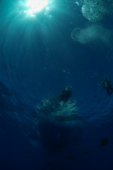 Fototapeta na wymiar Divers returning to dive boat