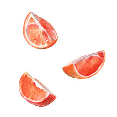 Three orange slices. isolated on white background.