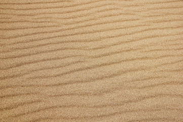 Fototapeta na wymiar Rippled Sand Surface