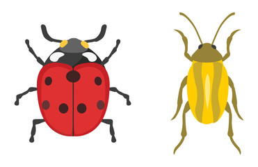 Fototapeta premium Insect icon flat isolated vector illustration.